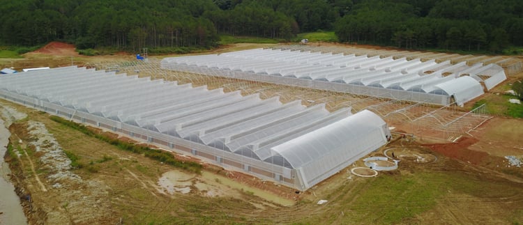 Greenhouse structures