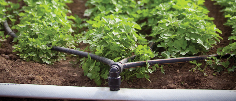 Precision Irrigation Products and Solutions 