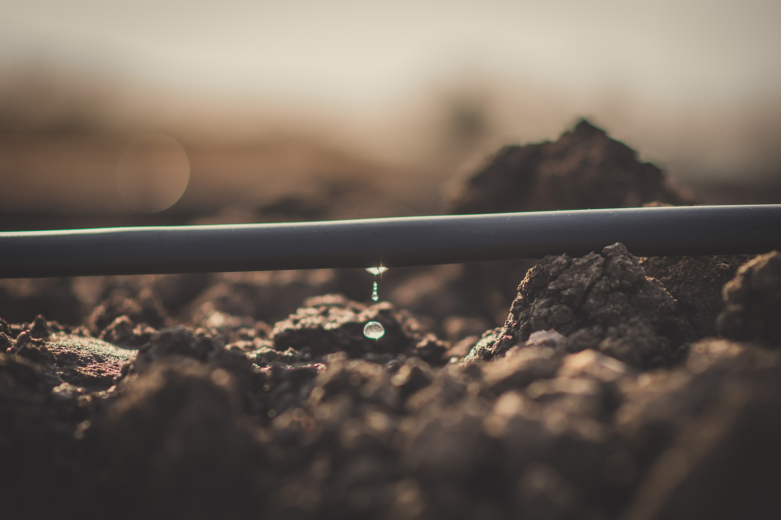 Precision Agriculture is the Only Way to Sustainable Farming  