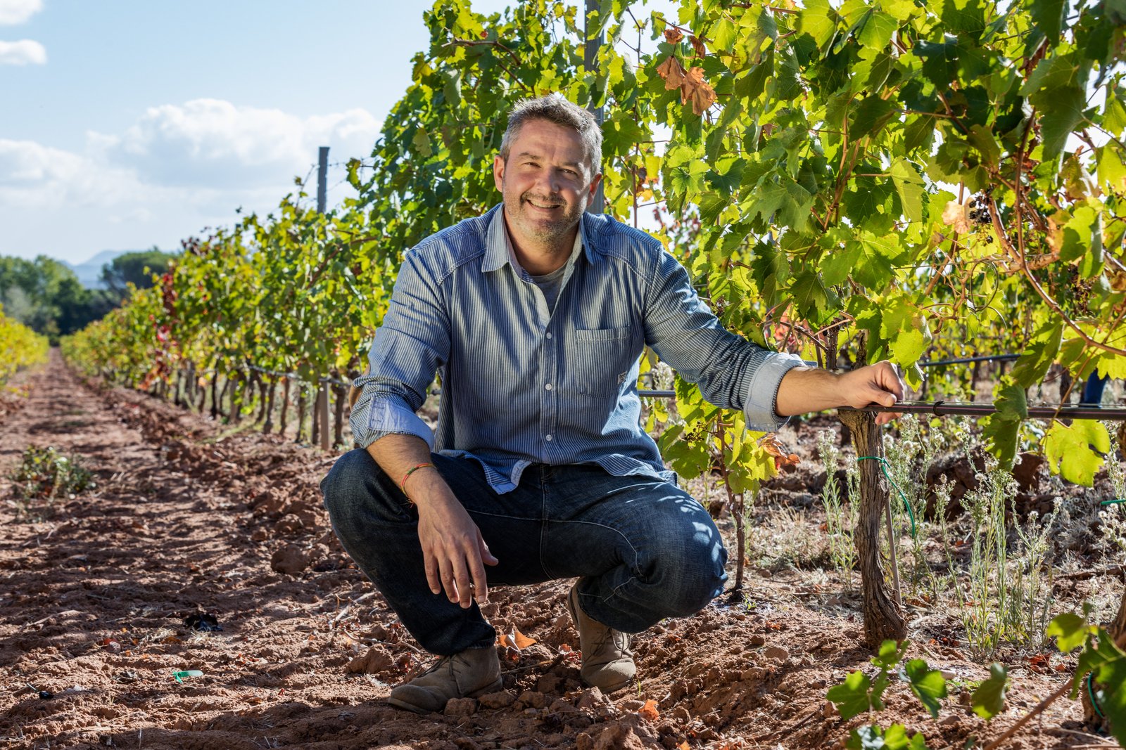 Netafim irrigation company - by farmers, for farmers