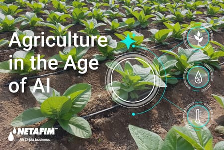 The Fourth Agricultural Revolution: AI’s Role in Feeding the Future