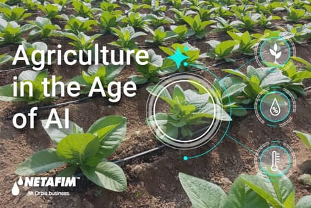 The Fourth Agricultural Revolution: AI’s Role in Feeding the Future