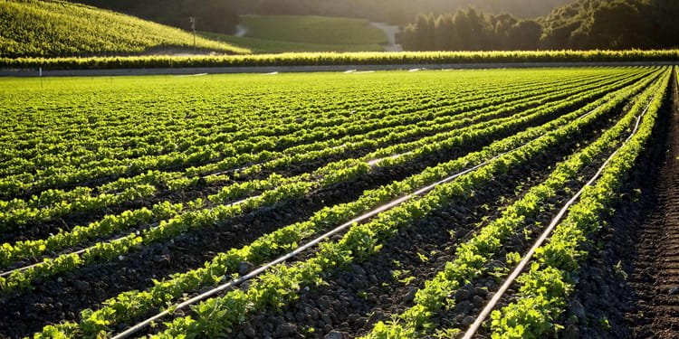 System Irrigation Energy Assessment