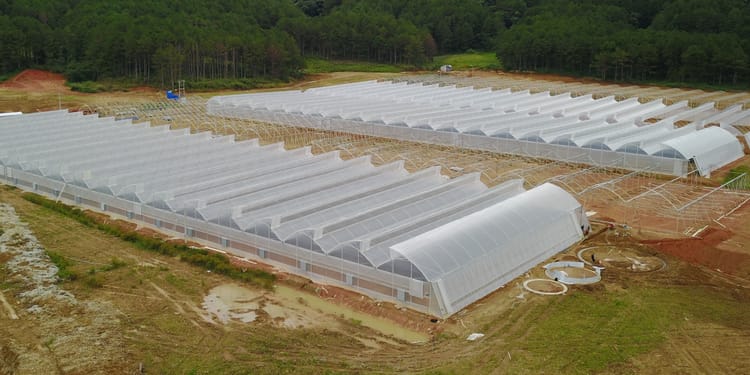 Greenhouse structures