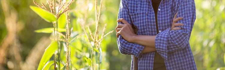 Banner Voices of Women Leading the Way in Agriculture