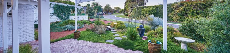 Banner Drip Irrigation For Residential Landscapes