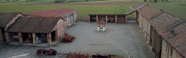 Farming in the Time of Corona: A Tale of Inspiration and a Lesson Learned