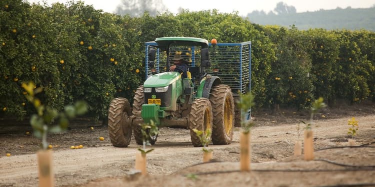 Tractor in Citrus orchard