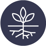 Healthier root environment