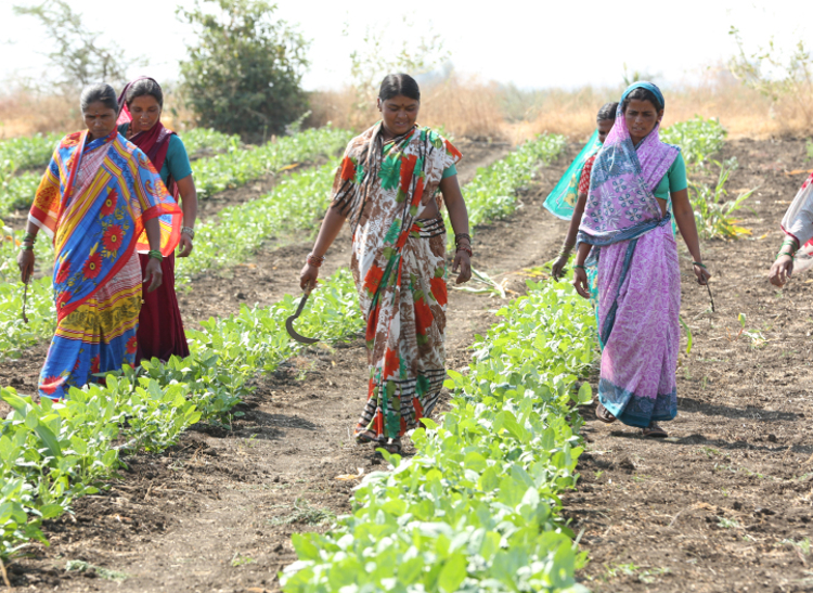 Indian women are walking in open field 